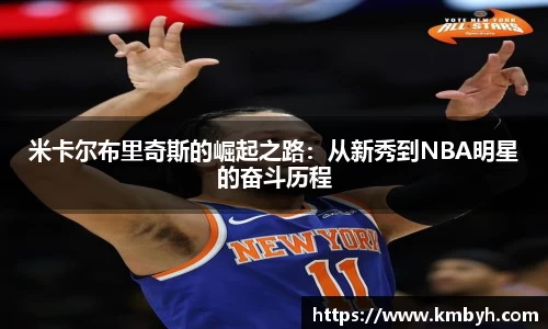 星空综合(中国)官方网站