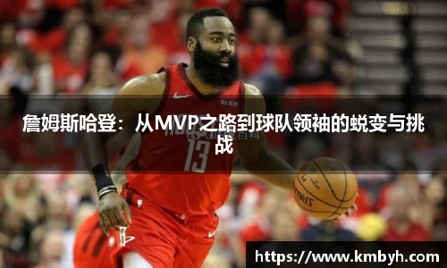 星空.综合体育官网